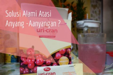 Prive Uri-cran: Gaya Hidup Sehatku dan Solusi Alami Atasi Anyang - Anyangan
